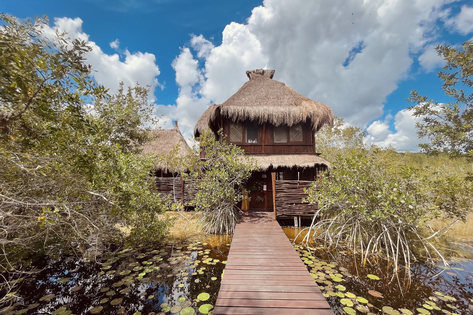 Cabaña de palma con pasarela de madera sobre nenúfares